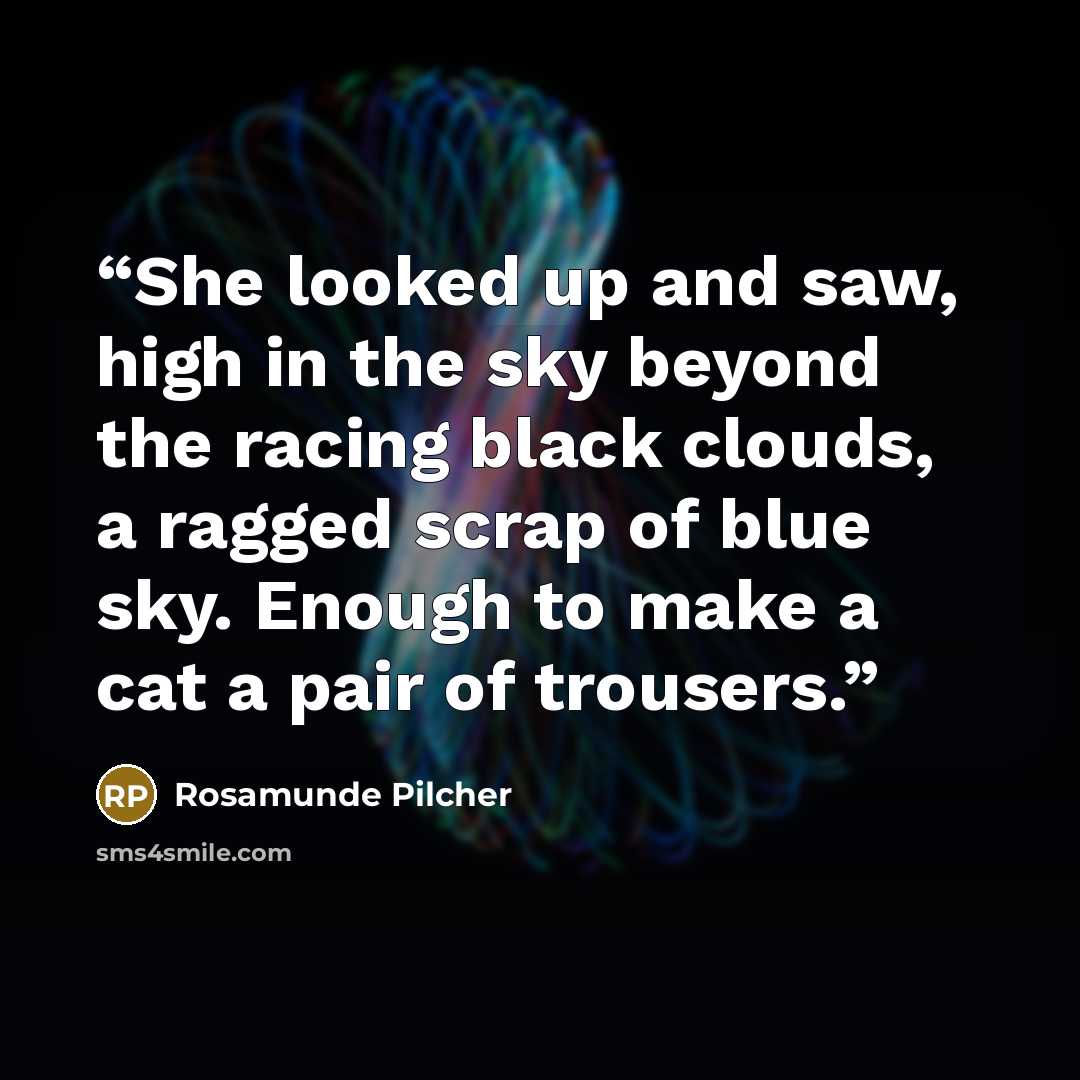 “She looked up and saw, high in the sky beyond the racing black clouds, a ragged scrap of blue sky. Enough to make a cat a pair of trousers.” quote by Rosamunde Pilcher