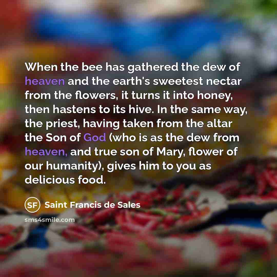 “When the bee has gathered the dew of heaven and…” quote by Saint Francis de Sales