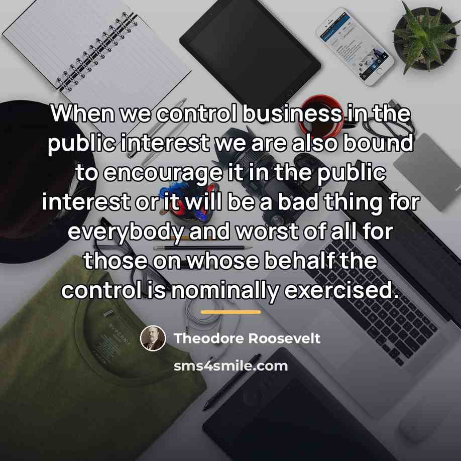 “When we control business in the public interest we are…” quote by Theodore Roosevelt