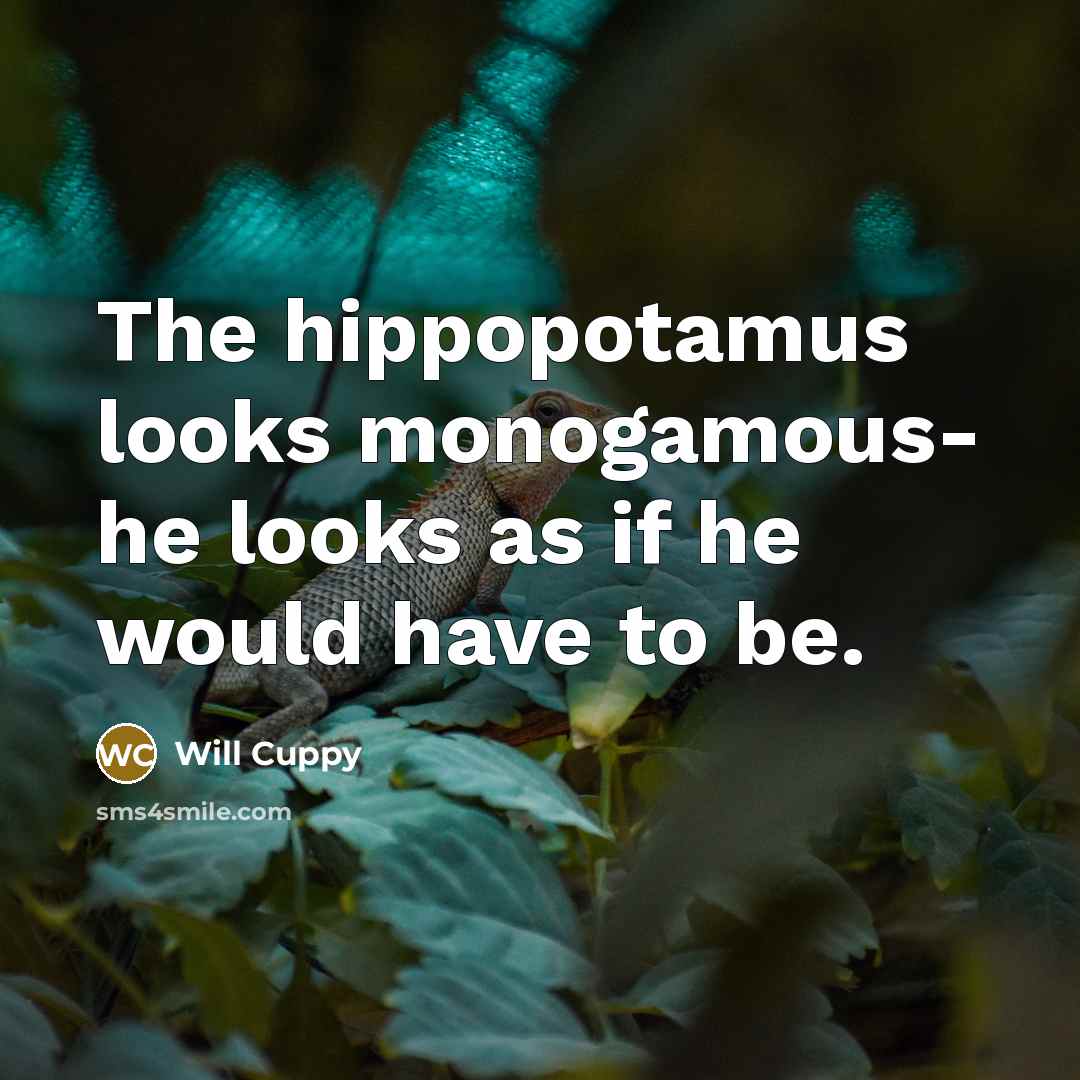 “The hippopotamus looks monogamous- he looks as if he would…” quote by Will Cuppy