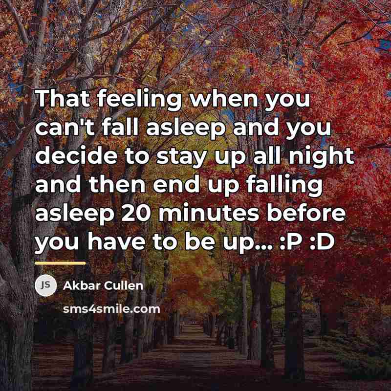 “That feeling when you can't fall asleep and you decide…” quote by Akbar Cullen