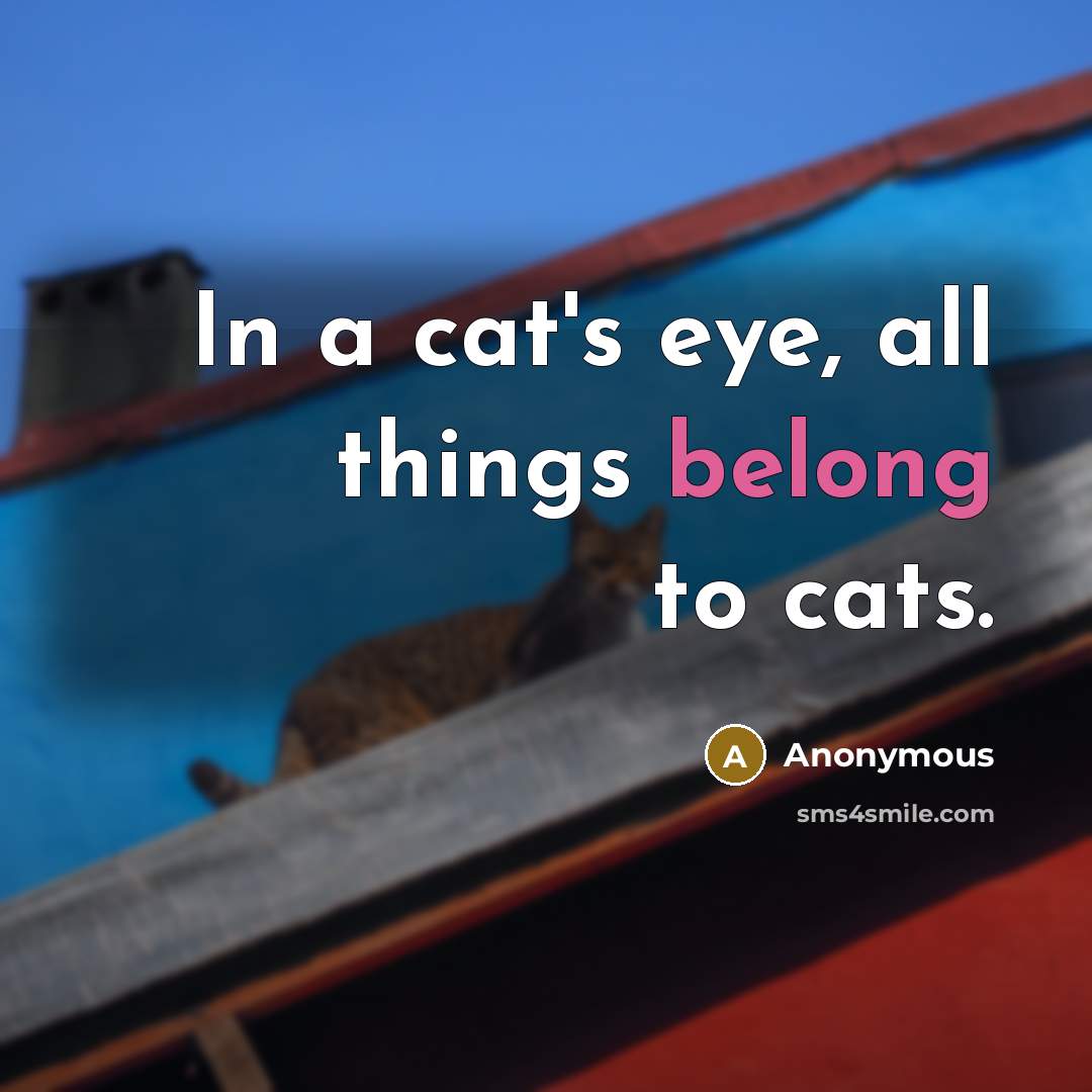 “In a cat's eye, all things belong to cats.” quote by Anonymous