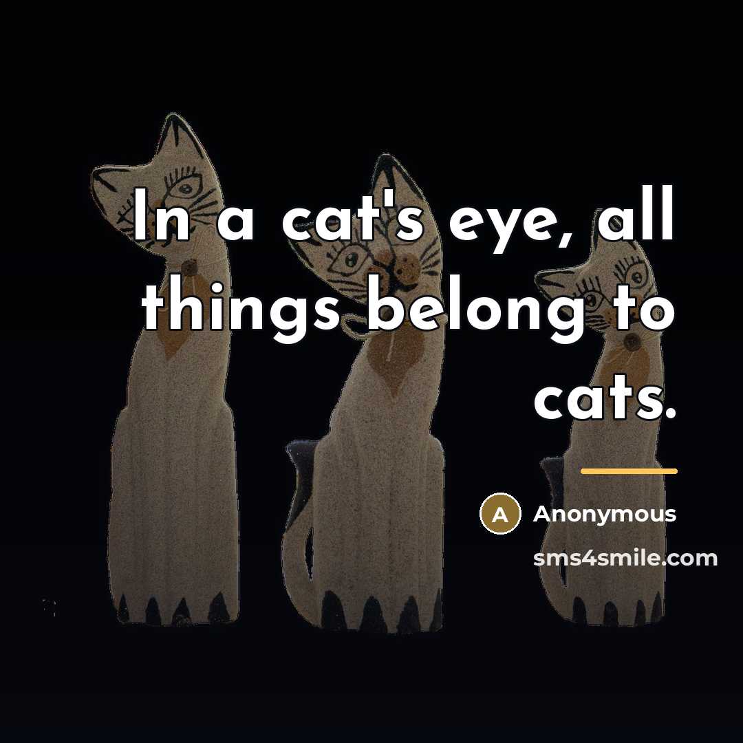 “In a cat's eye, all things belong to cats.…” quote by Anonymous