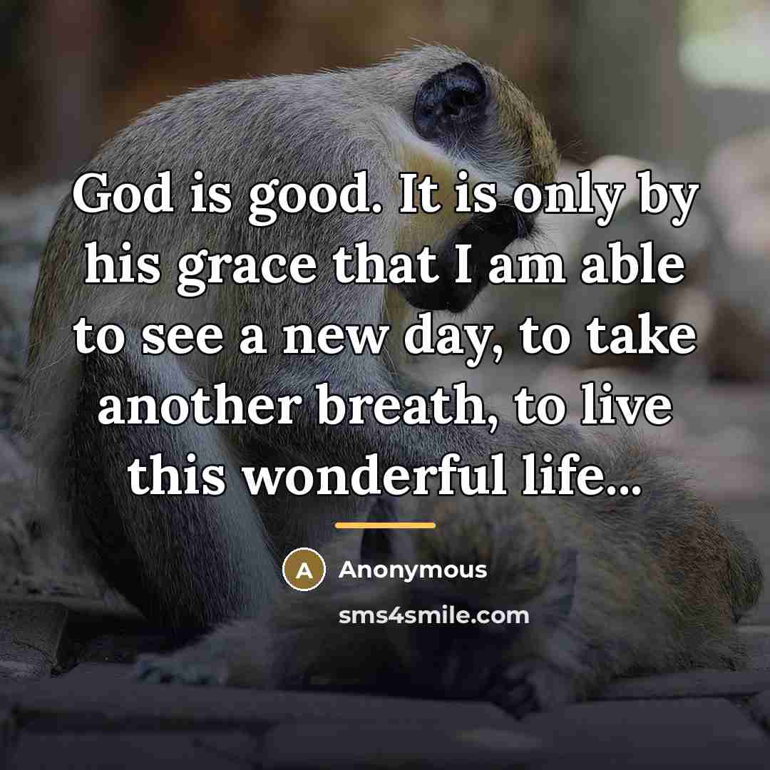 “God is good. It is only by his grace that…” quote by Anonymous