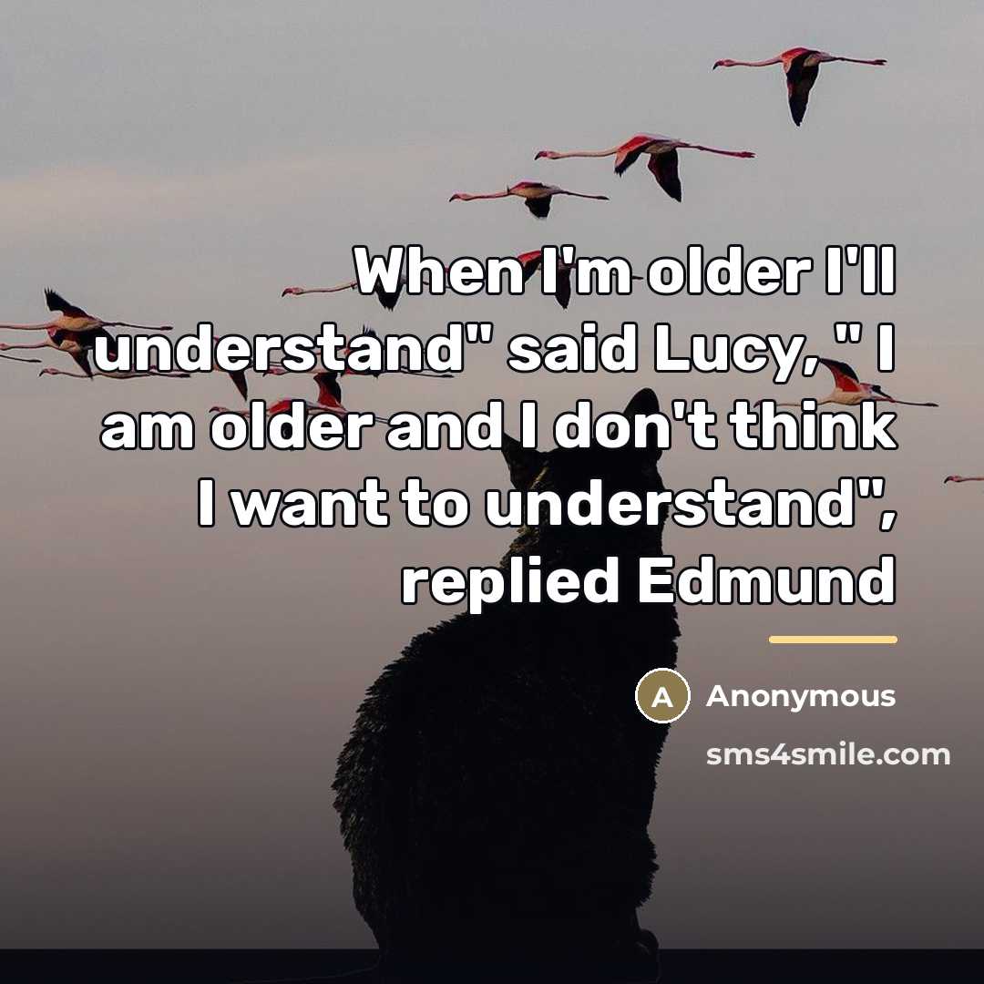 “When I'm older I'll understand" said Lucy, " I am…” quote by Anonymous