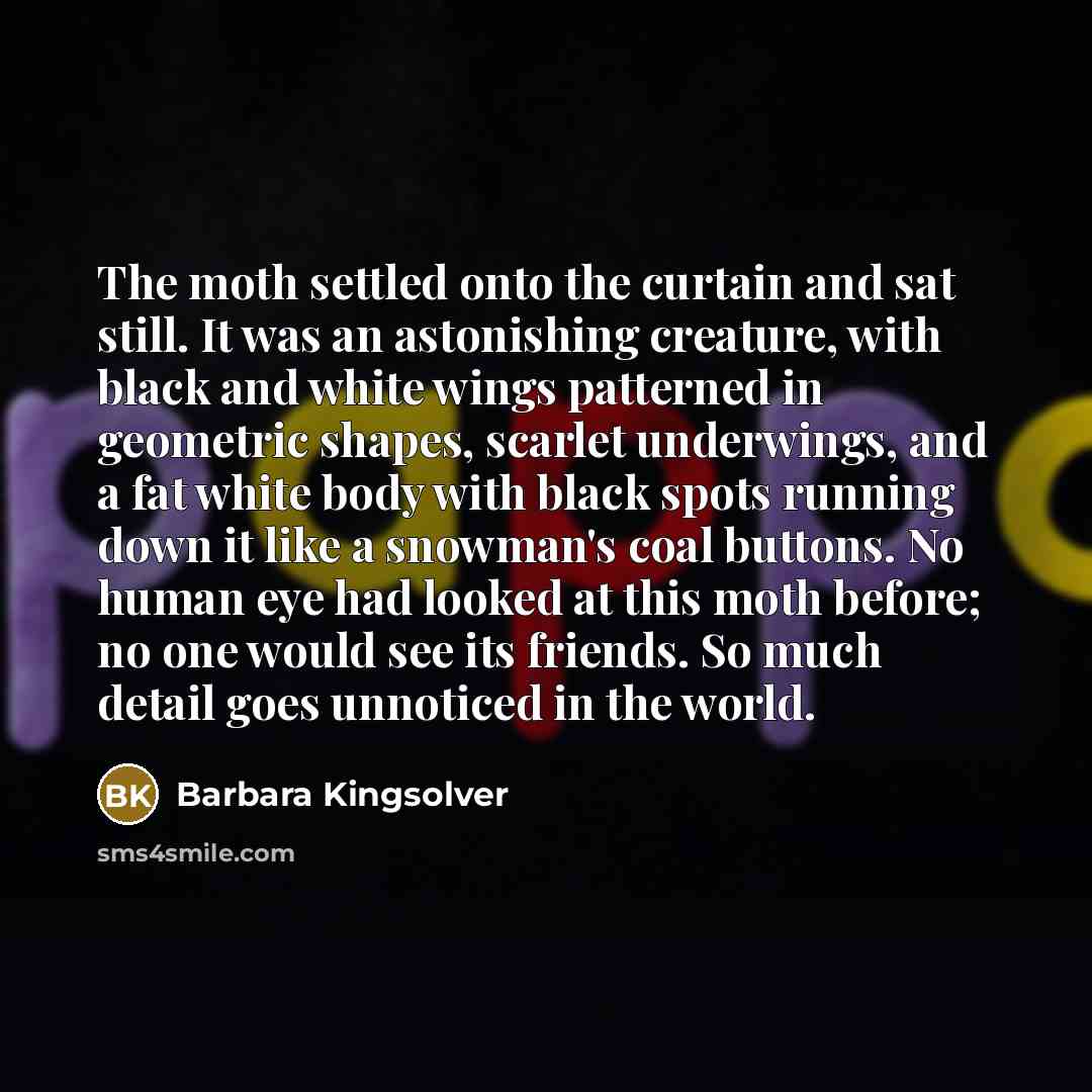 “The moth settled onto the curtain and sat still. It…” quote by Barbara Kingsolver
