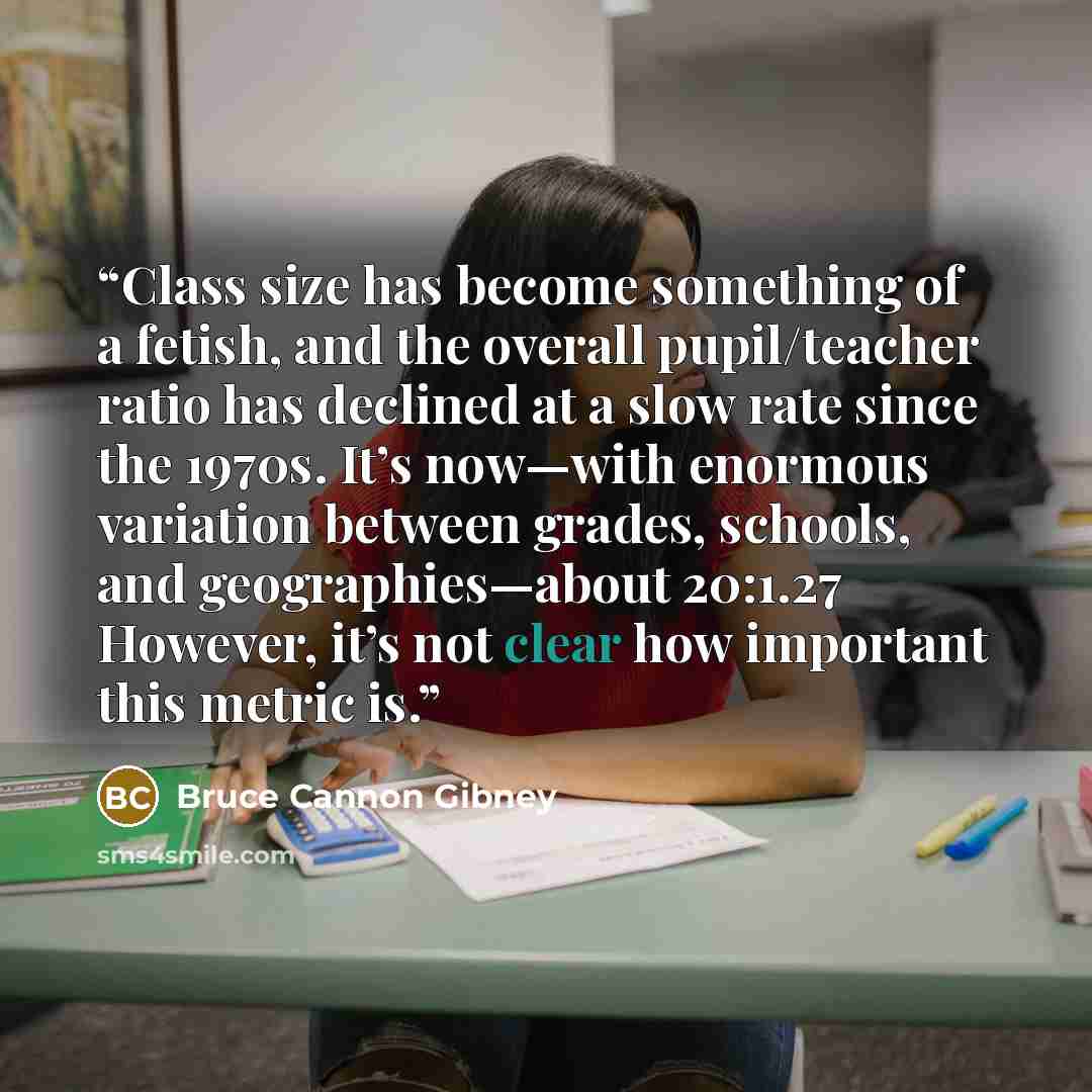 “Class size has become something of a fetish, and the overall pupil/teacher ratio has declined at a slow rate since the 1970s. It’s now—with enormous variation between grades, schools, and geographies—about 20:1.27 However, it’s not clear how important this metric is.” quote by Bruce Cannon Gibney