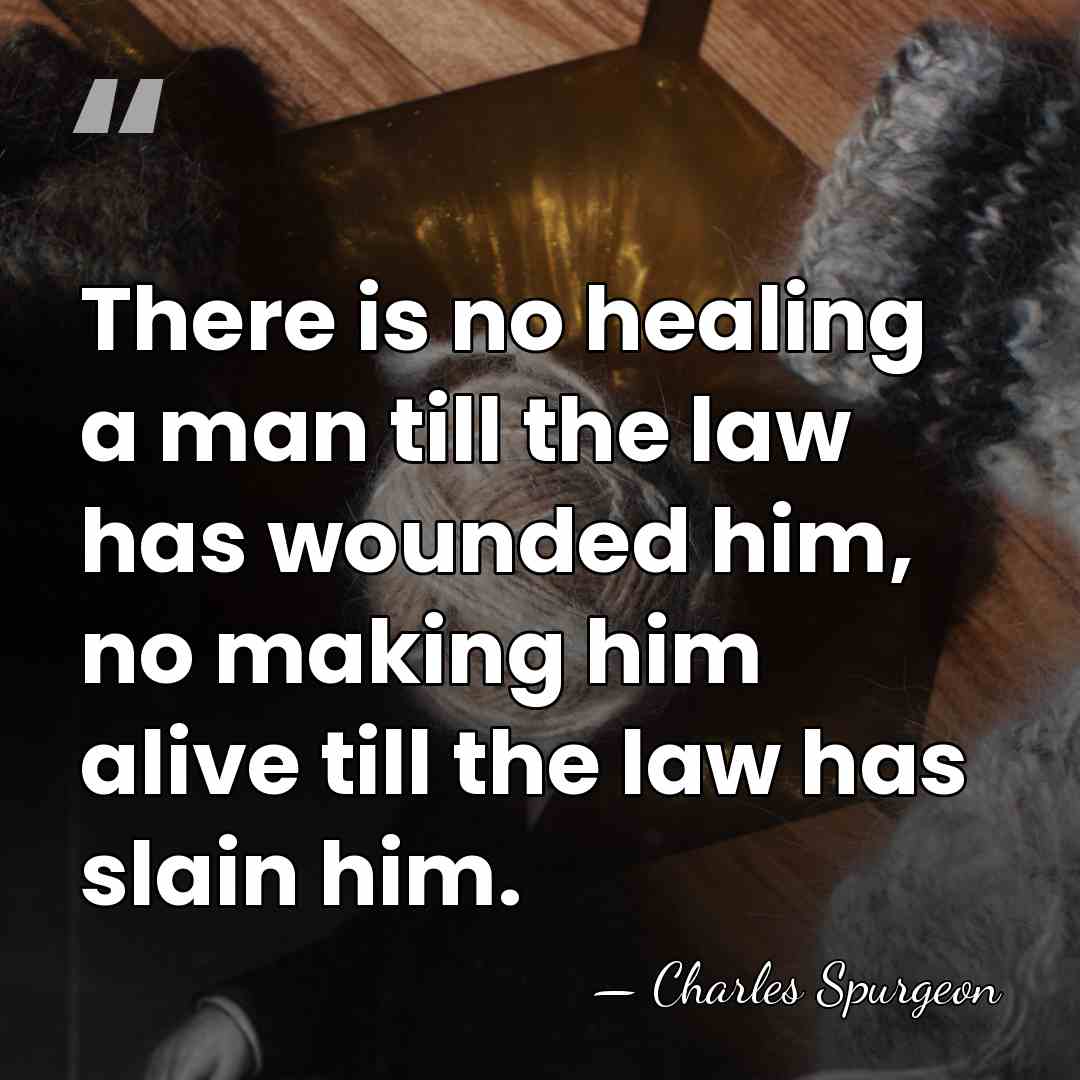There is no healing a man till the law has wounded him,&hellip; - Charles Spurgeon