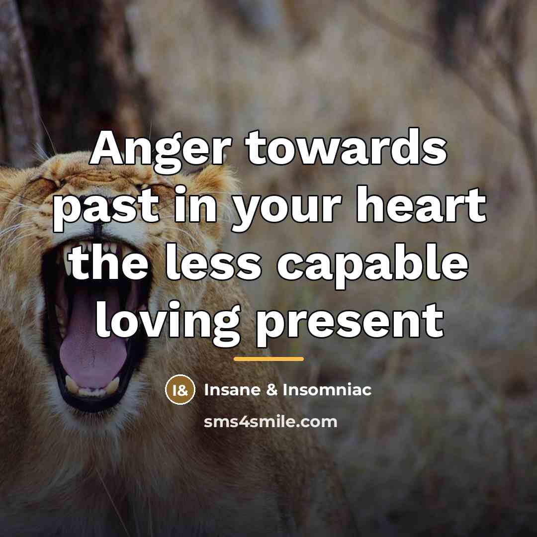 “Anger towards past in your heart the less capable loving…” quote by Insane & Insomniac