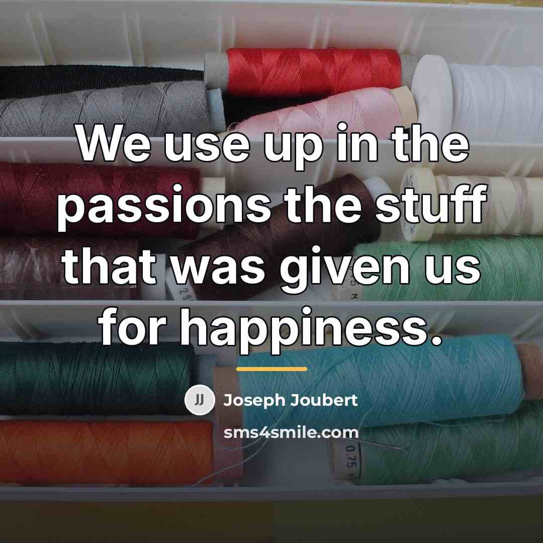 “We use up in the passions the stuff that was…” quote by Joseph Joubert