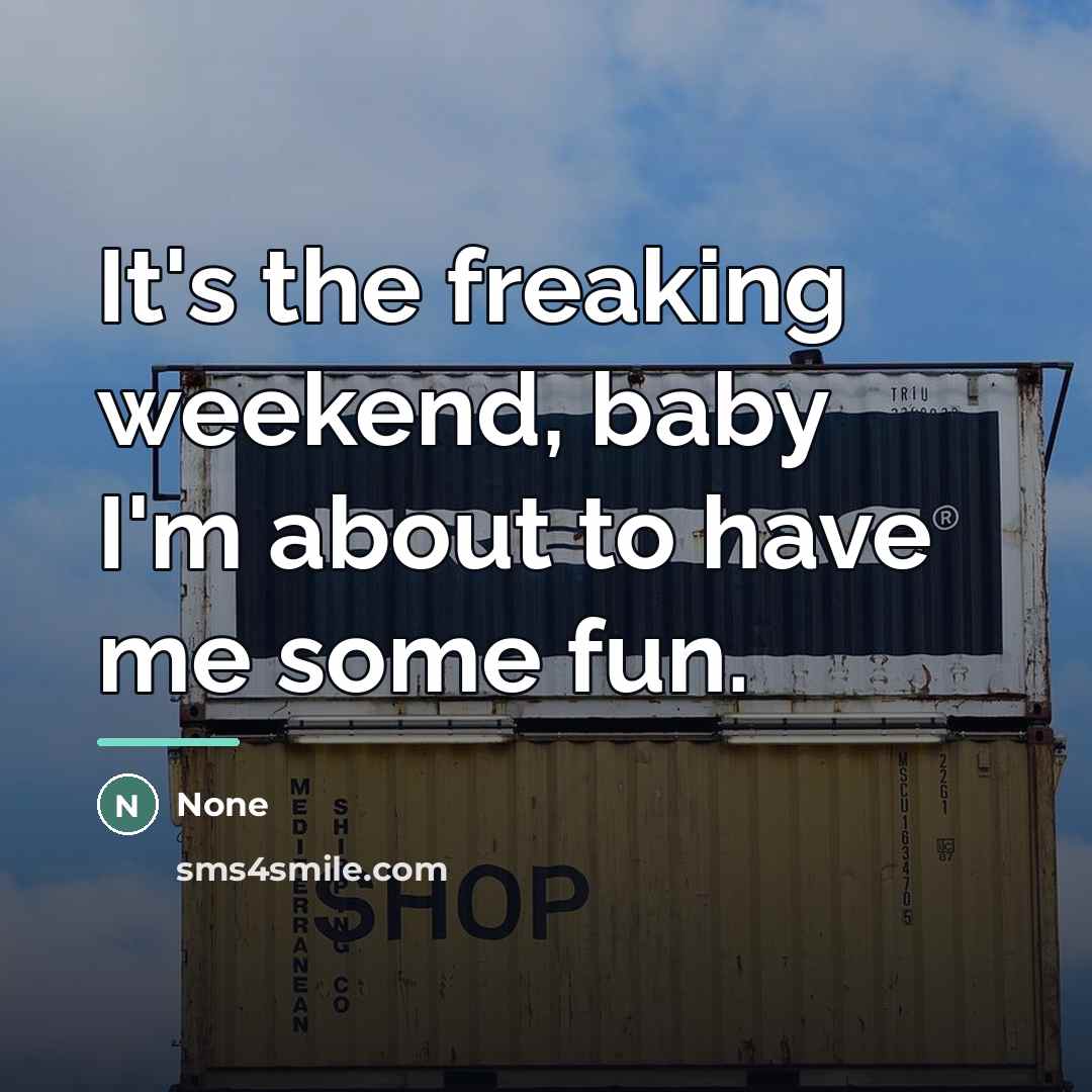 “It's the freaking weekend, baby I'm about to have me…” quote by None