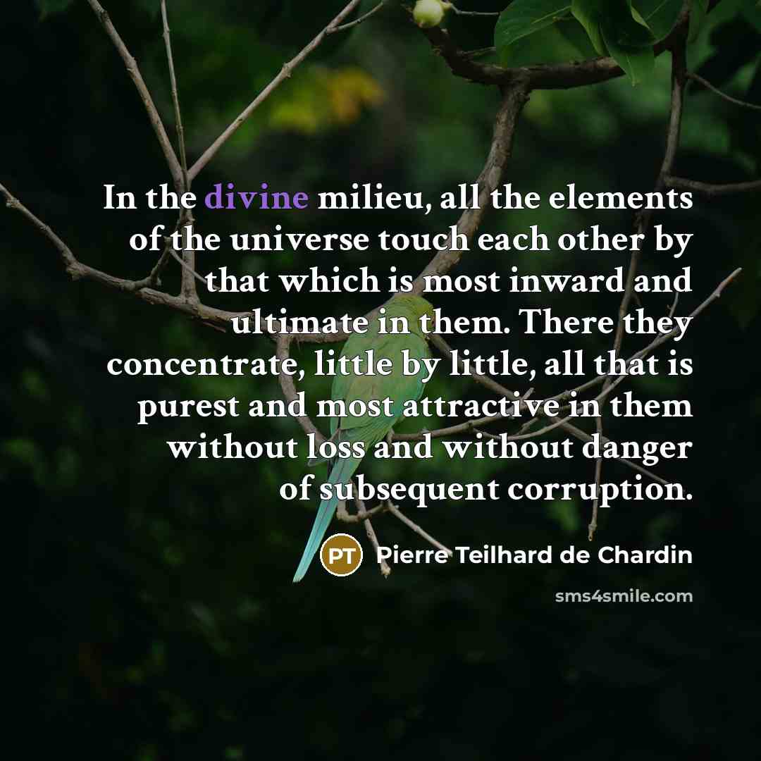 “In the divine milieu, all the elements of the universe…” quote by Pierre Teilhard de Chardin