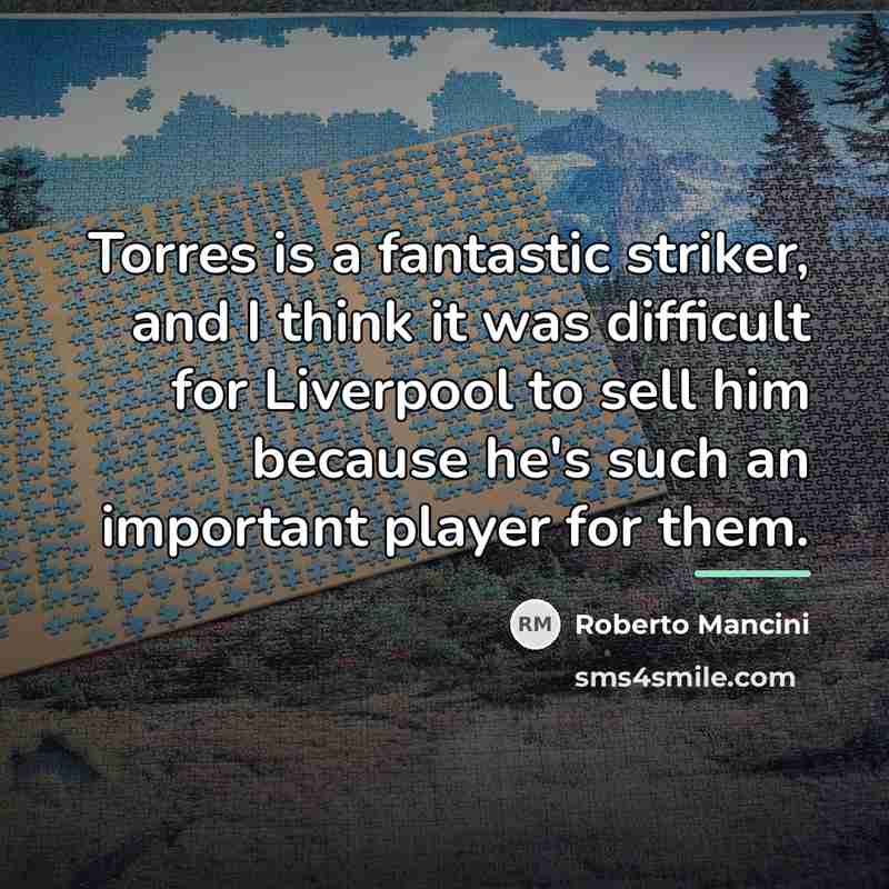 “Torres is a fantastic striker, and I think it was…” quote by Roberto Mancini