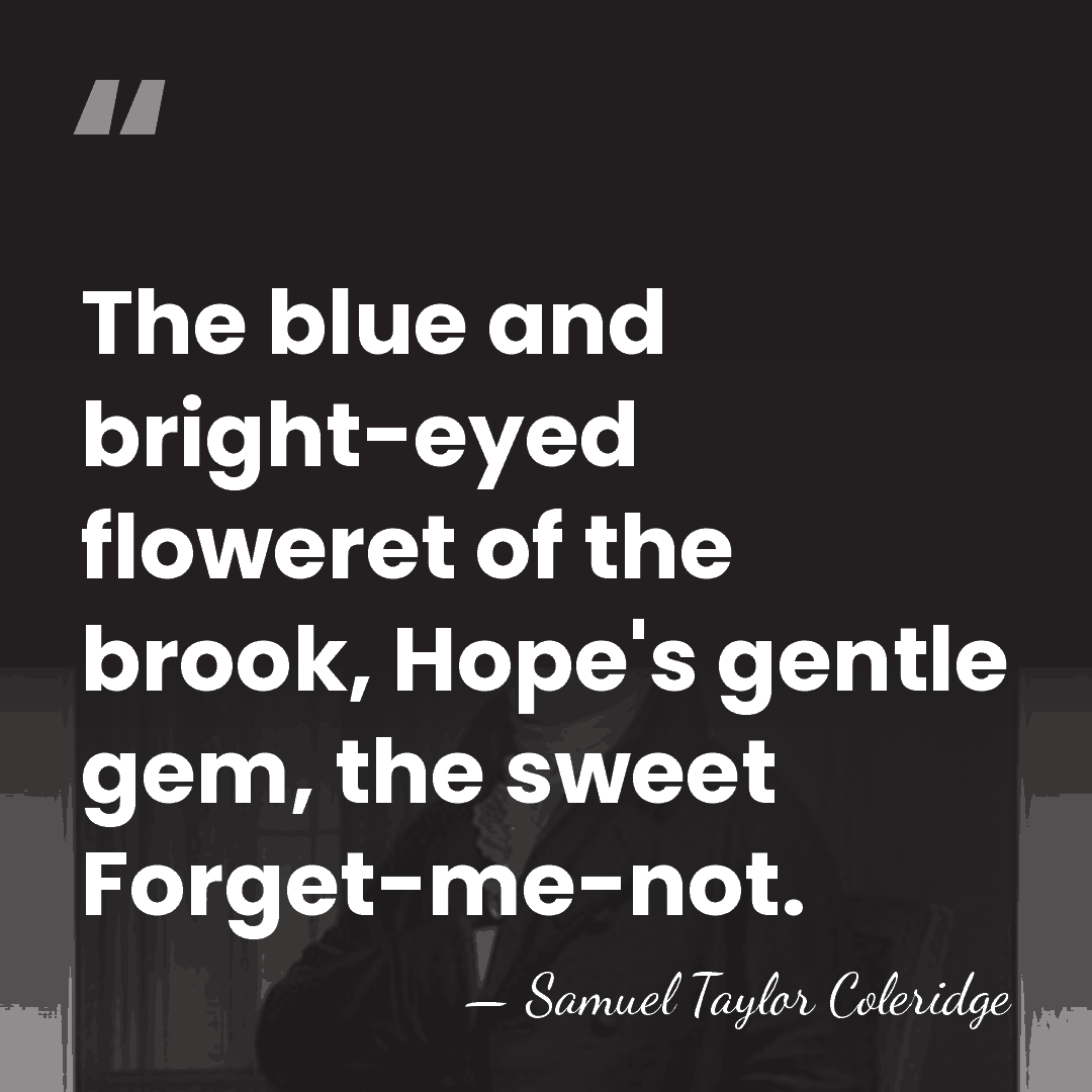 The blue and bright-eyed floweret of the brook, Hope's gentle gem, the&hellip; - Samuel Taylor Coleridge