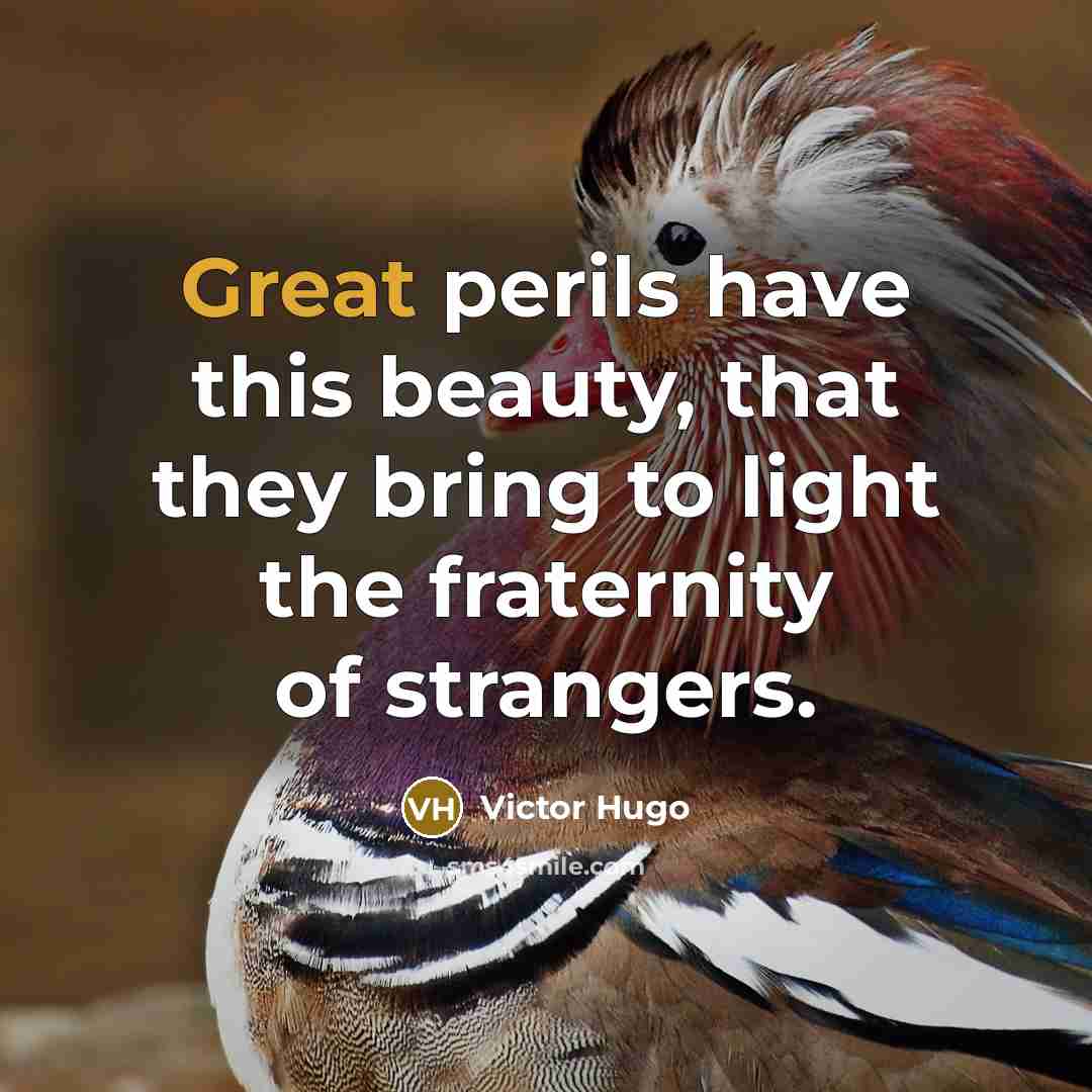 “Great perils have this beauty, that they bring to light…” quote by Victor Hugo