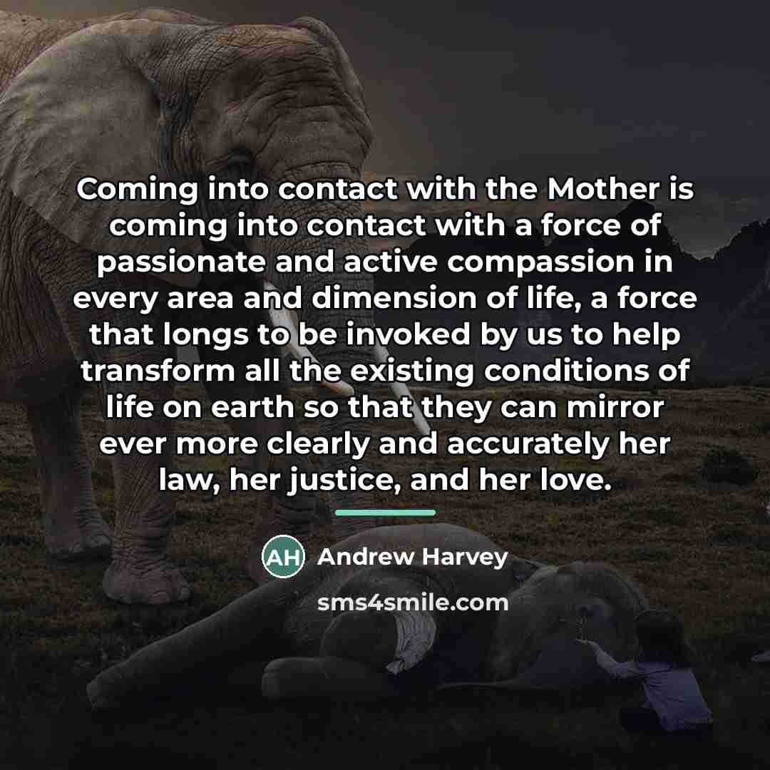 “Coming into contact with the Mother is coming into contact…” quote by Andrew Harvey