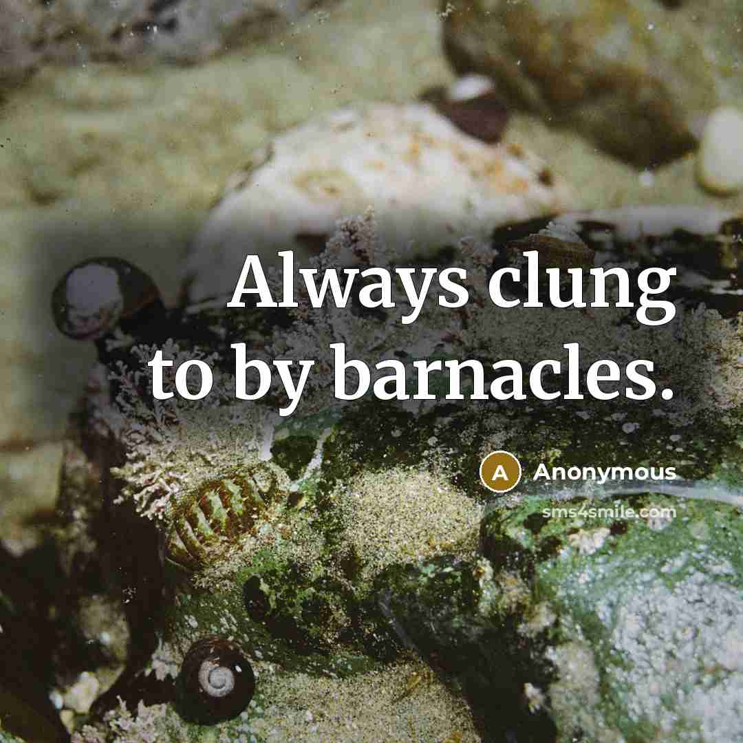 “Always clung to by barnacles.” quote by Anonymous