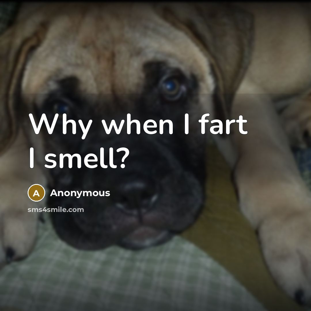 “Why when I fart I smell?” quote by Anonymous
