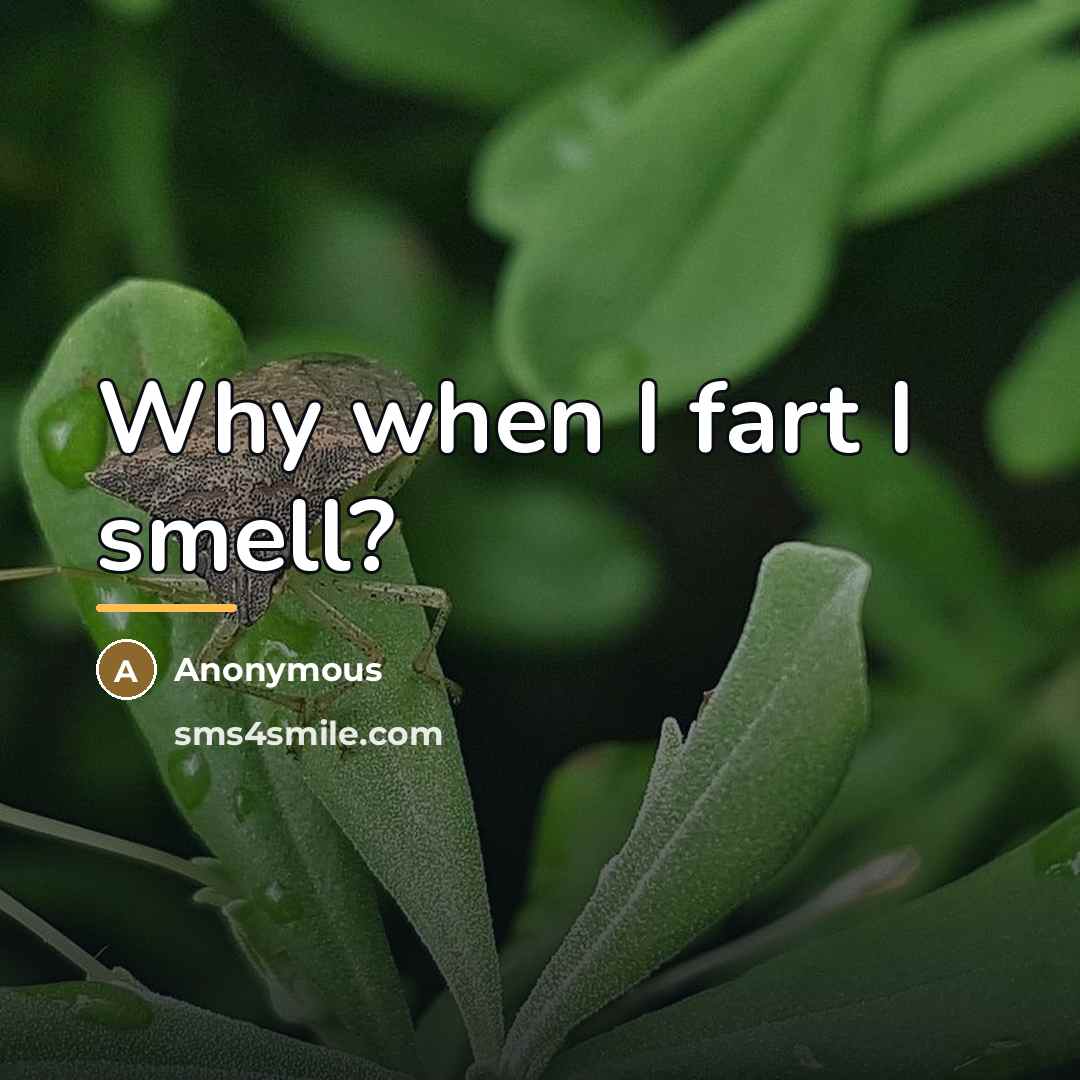 “Why when I fart I smell?…” quote by Anonymous