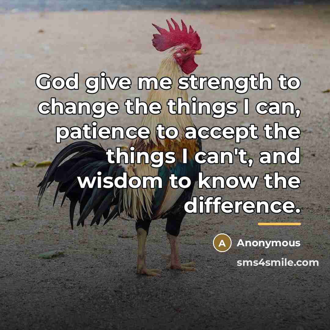 “God give me strength to change the things I can,…” quote by Anonymous
