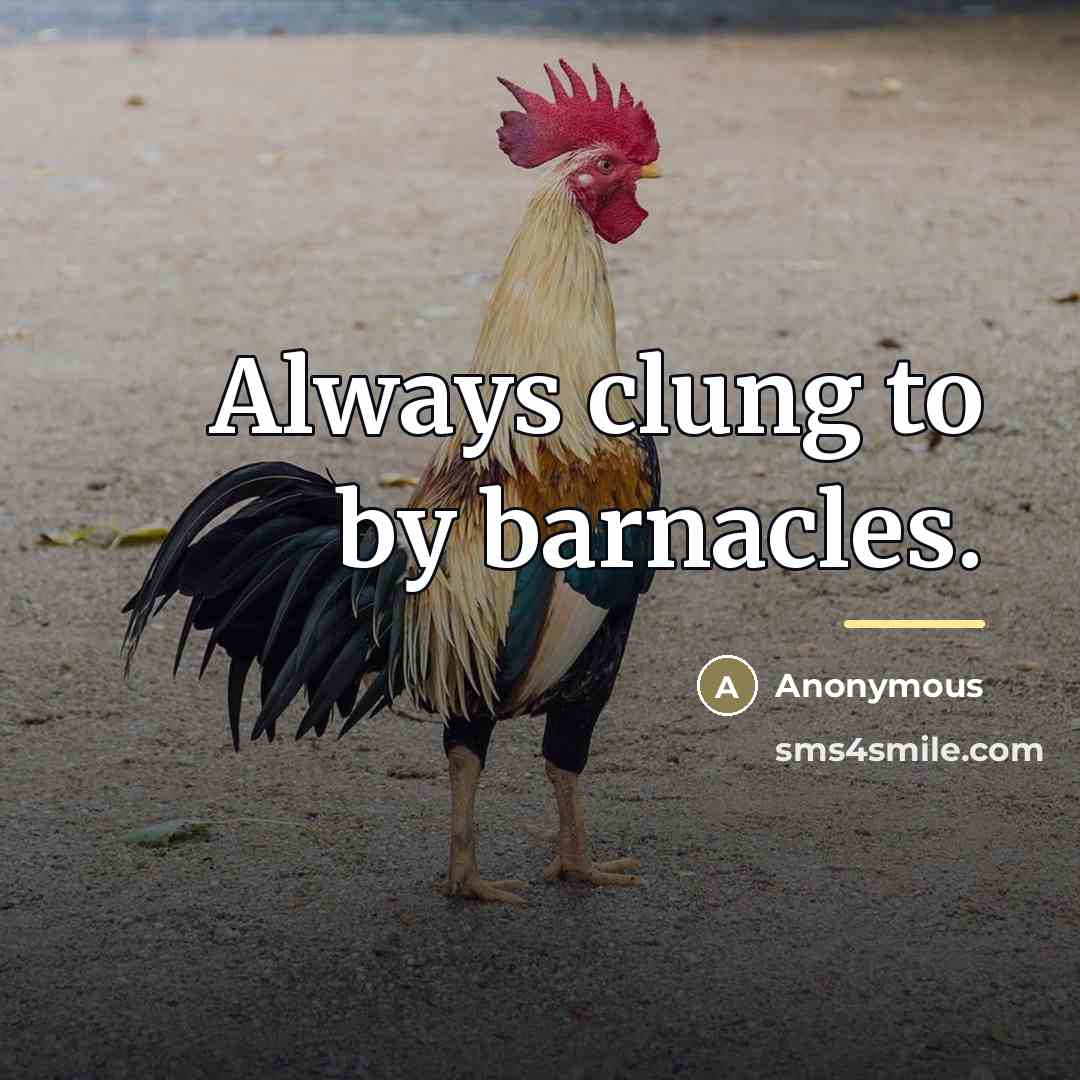 “Always clung to by barnacles.…” quote by Anonymous