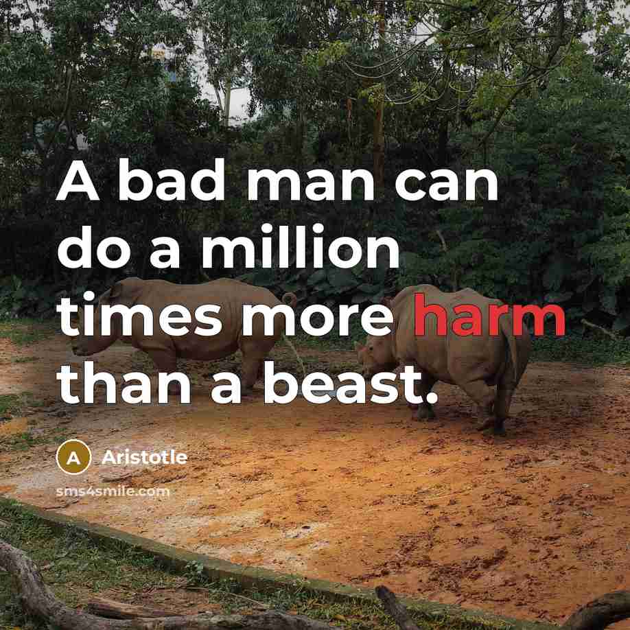 “A bad man can do a million times more harm…” quote by Aristotle