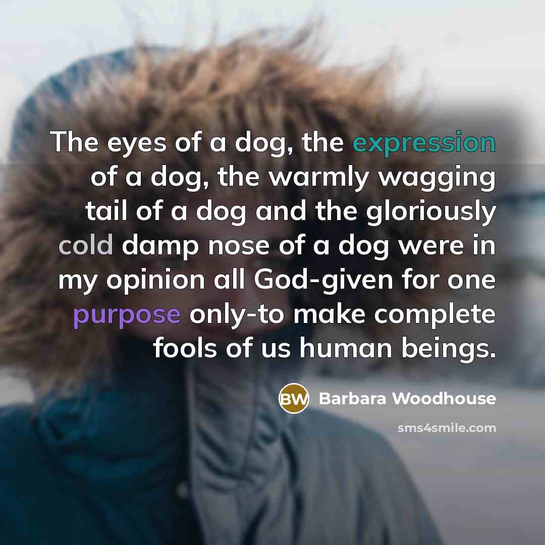 “The eyes of a dog, the expression of a dog,…” quote by Barbara Woodhouse