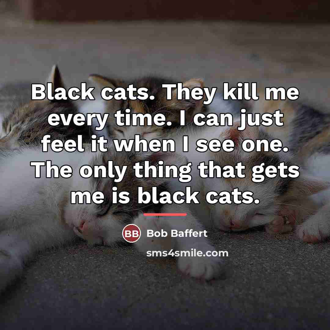 “Black cats. They kill me every time. I can just…” quote by Bob Baffert
