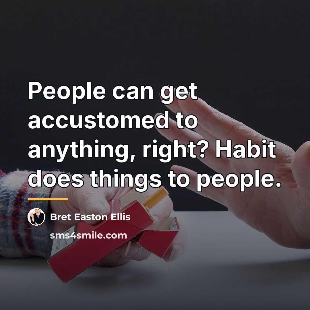“People can get accustomed to anything, right? Habit does things…” quote by Bret Easton Ellis