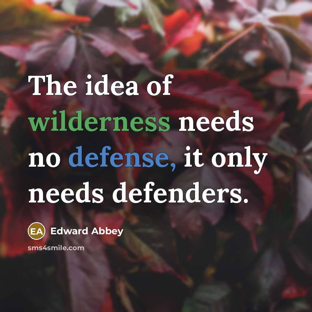 “The idea of wilderness needs no defense, it only needs…” quote by Edward Abbey