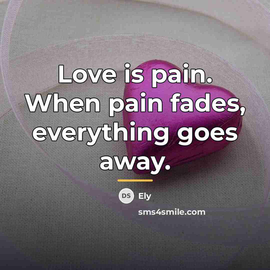 “Love is pain. When pain fades, everything goes away.…” quote by Ely