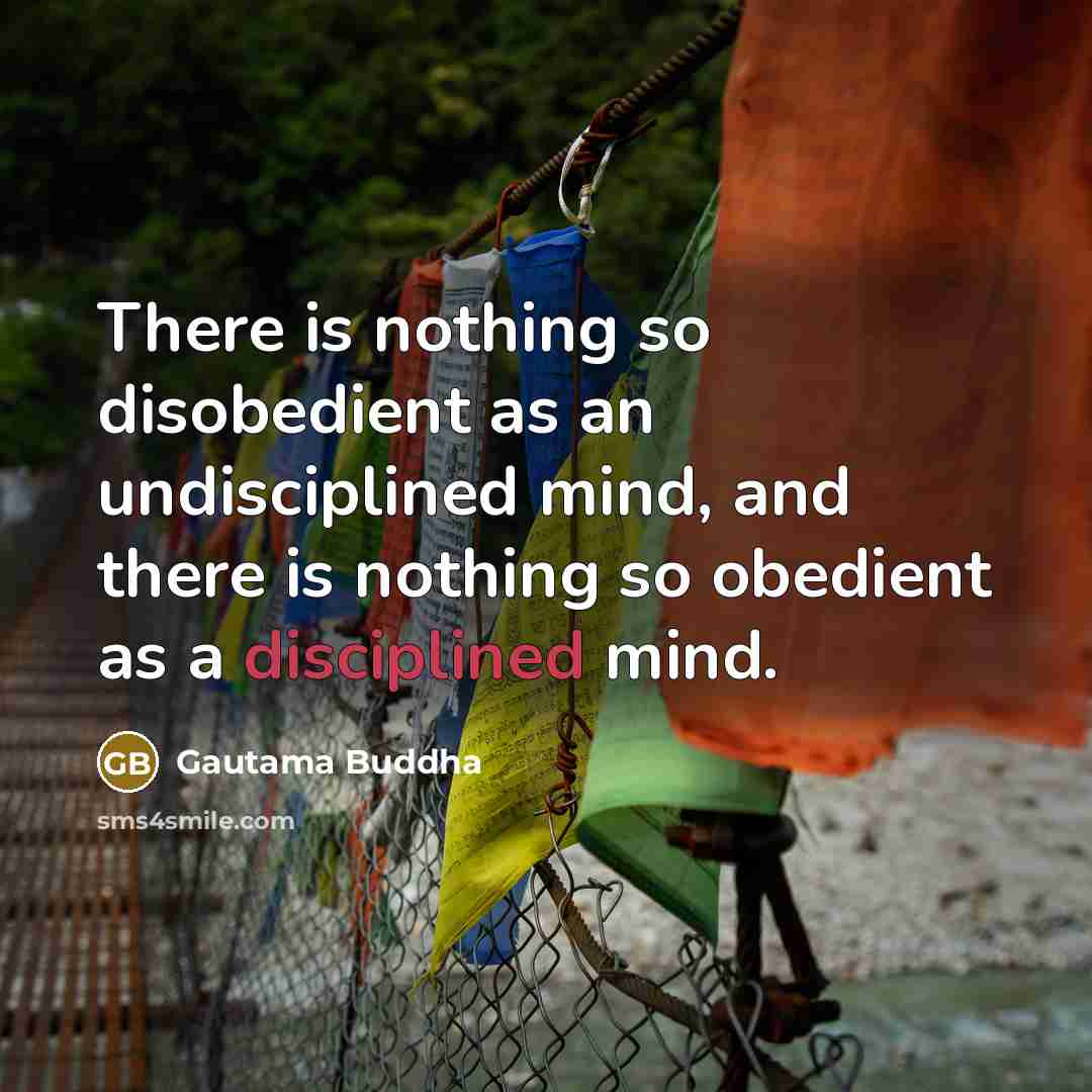 “There is nothing so disobedient as an undisciplined mind, and…” quote by Gautama Buddha