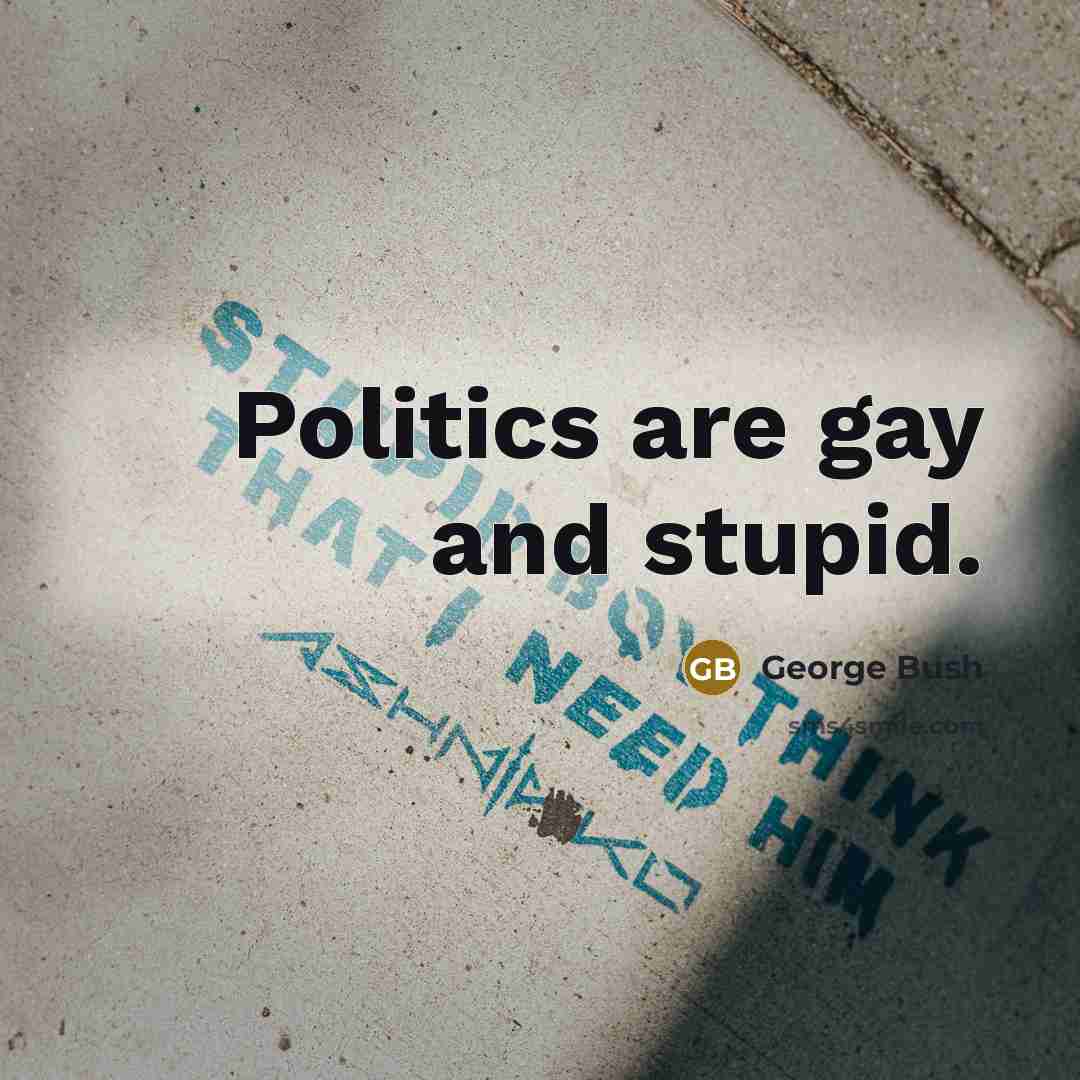 “Politics are gay and stupid.…” quote by George Bush