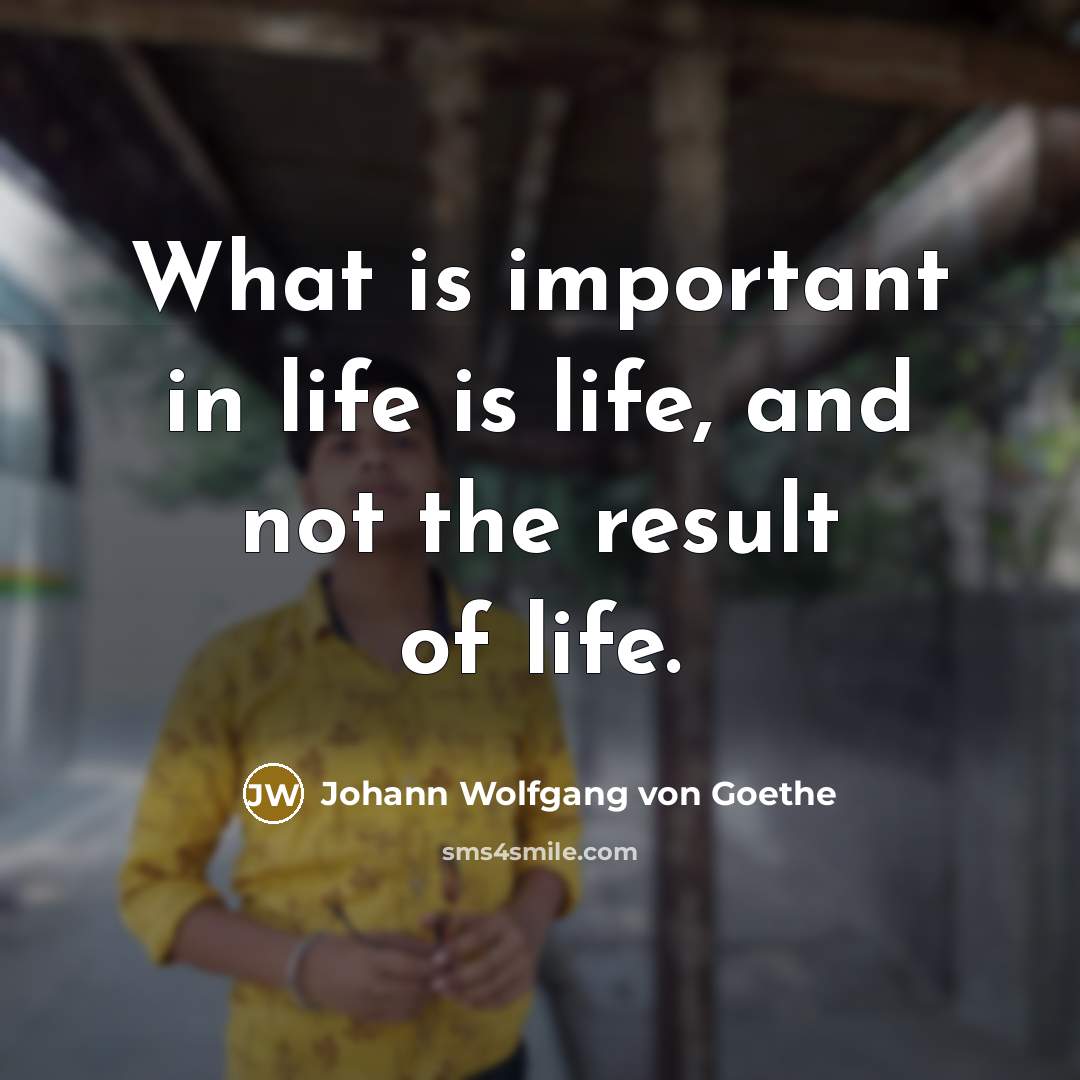 “What is important in life is life, and not the…” quote by Johann Wolfgang von Goethe
