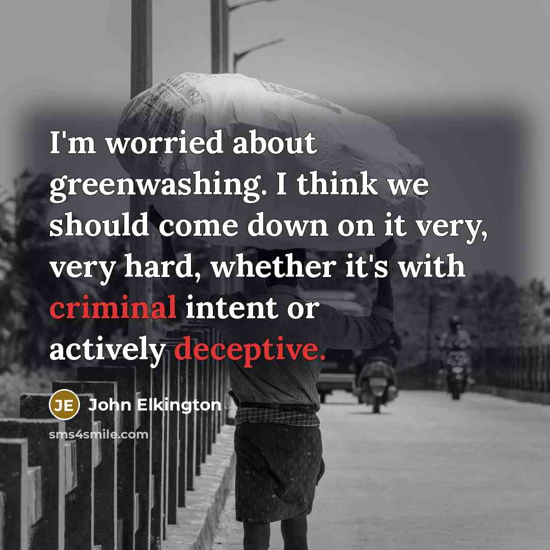 “I'm worried about greenwashing. I think we should come down on it very, very hard, whether it's with criminal intent or actively deceptive.” quote by John Elkington