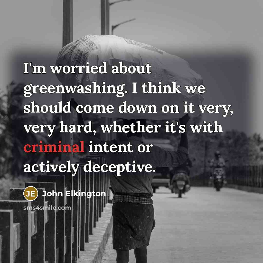 “I'm worried about greenwashing. I think we should come down…” quote by John Elkington