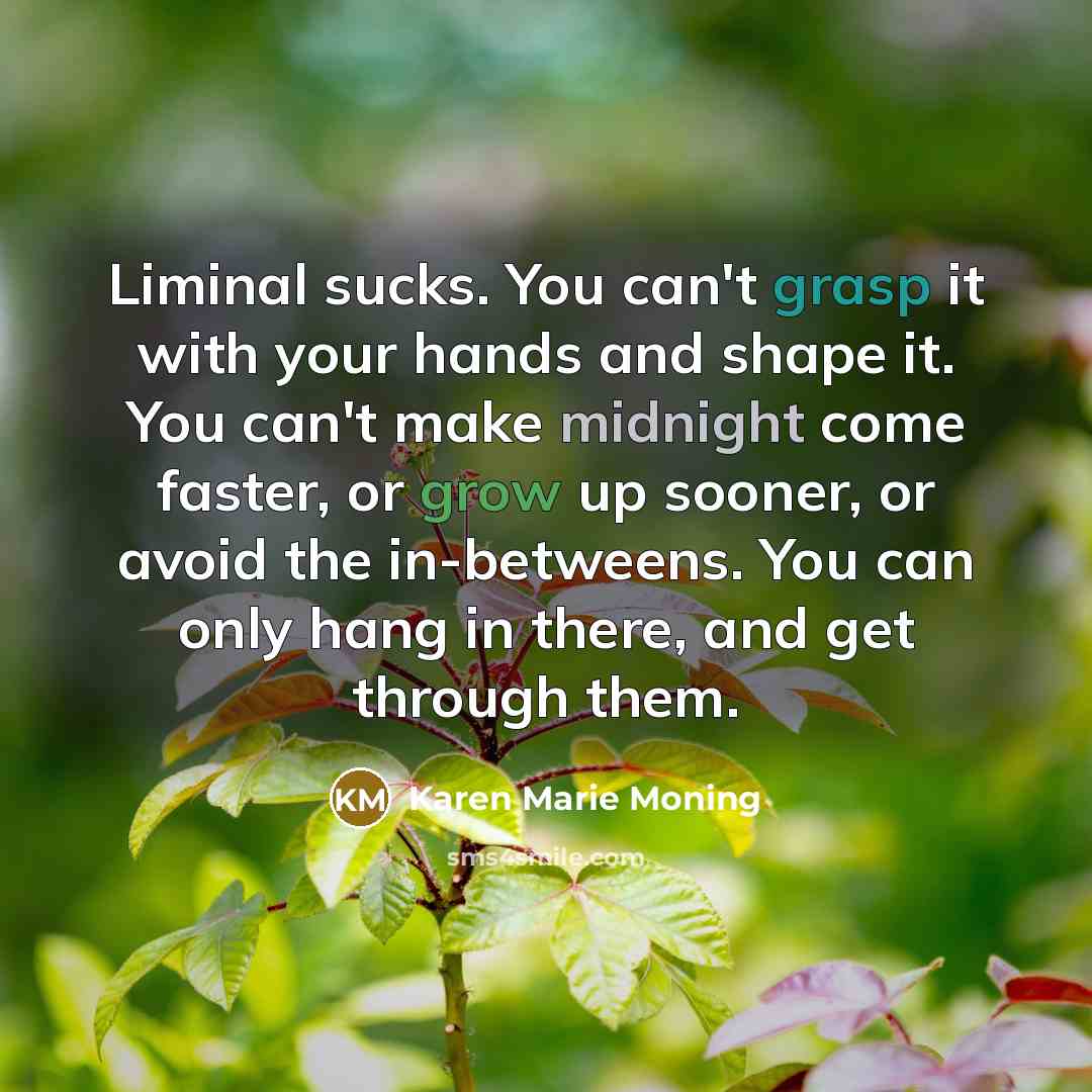 “Liminal sucks. You can't grasp it with your hands and…” quote by Karen Marie Moning