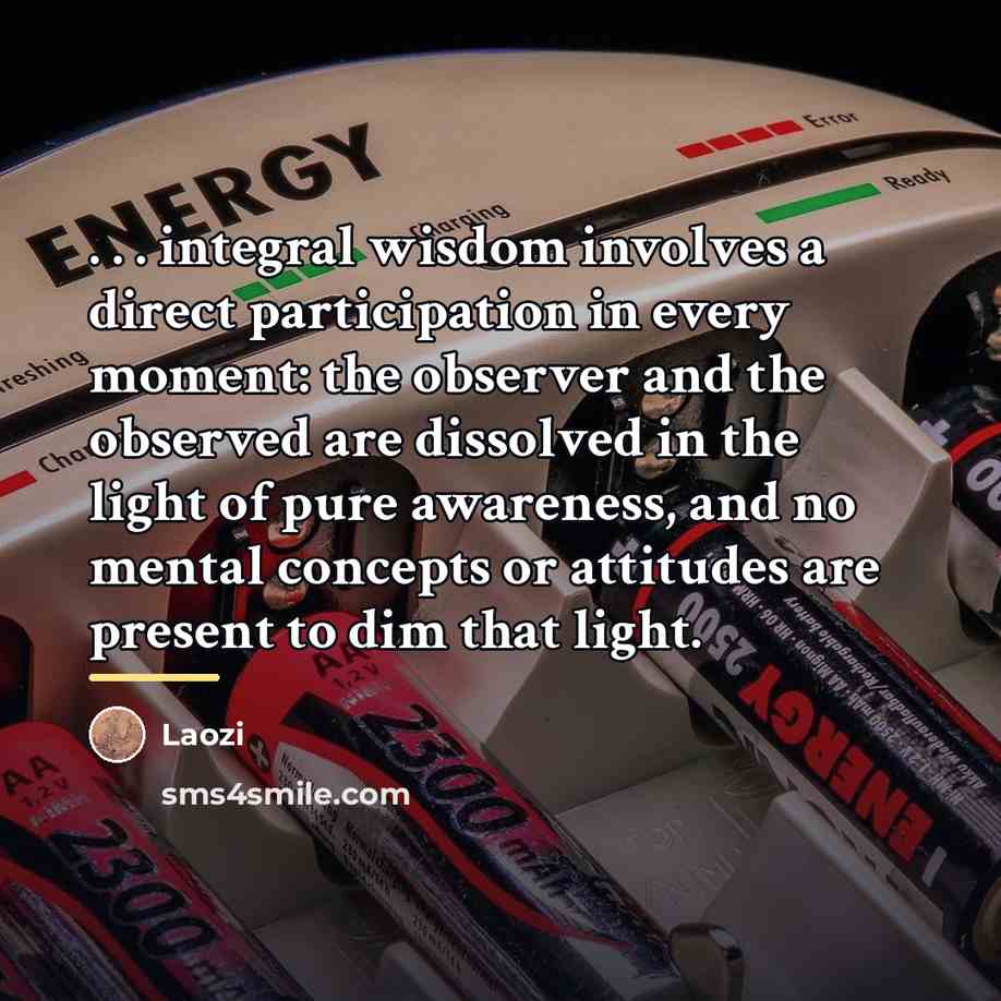 “. . . integral wisdom involves a direct participation in…” quote by Laozi