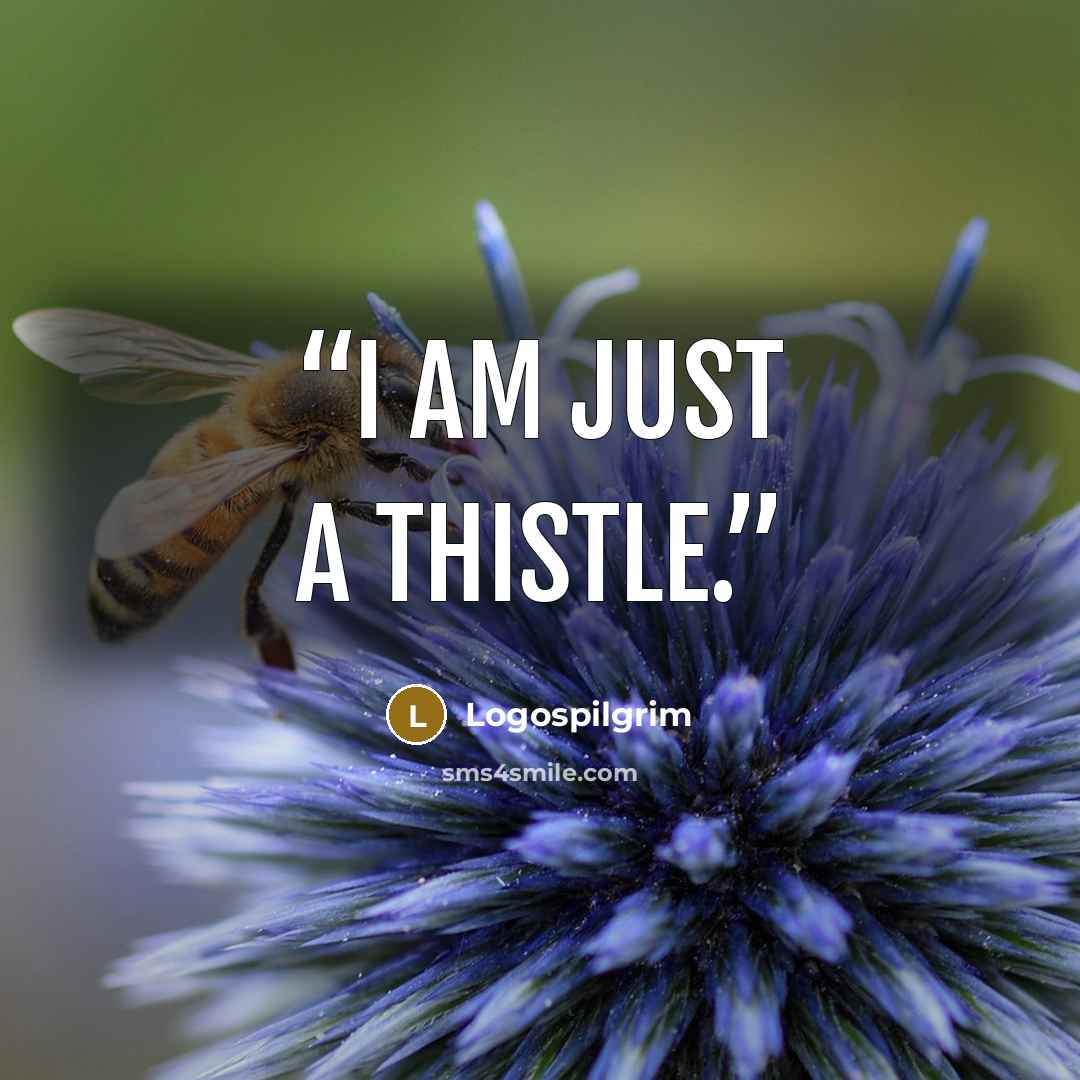 “I am just a thistle.” quote by Logospilgrim
