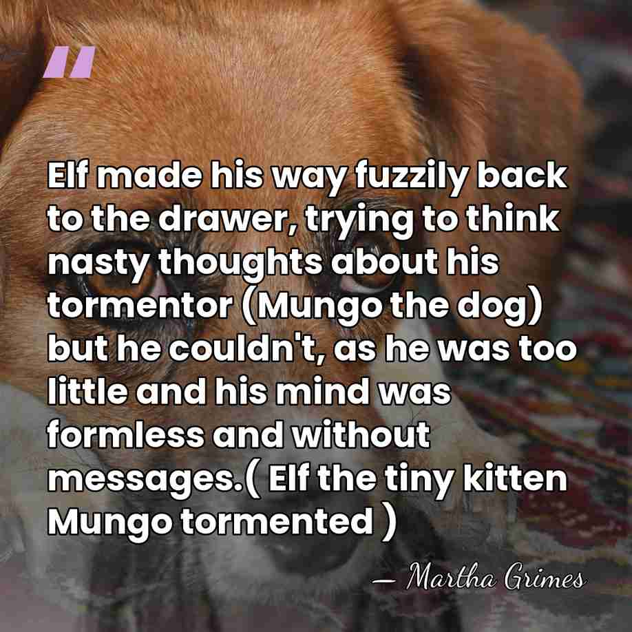 Elf made his way fuzzily back to the drawer, trying to think&hellip; - Martha Grimes