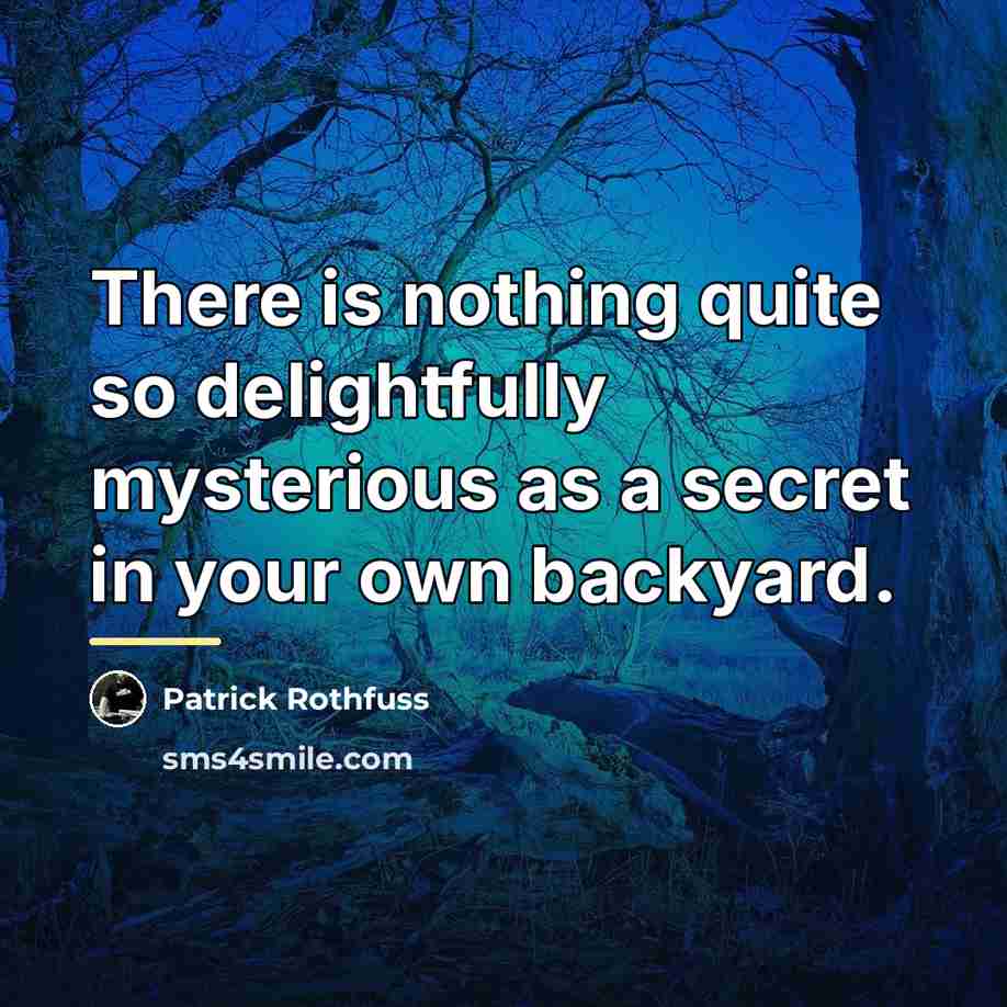 “There is nothing quite so delightfully mysterious as a secret…” quote by Patrick Rothfuss