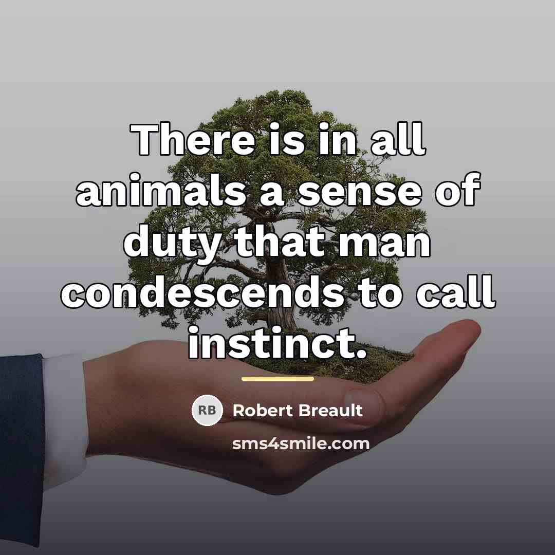 “There is in all animals a sense of duty that…” quote by Robert Breault