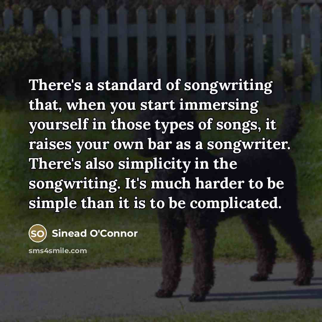 “There's a standard of songwriting that, when you start immersing…” quote by Sinead O'Connor