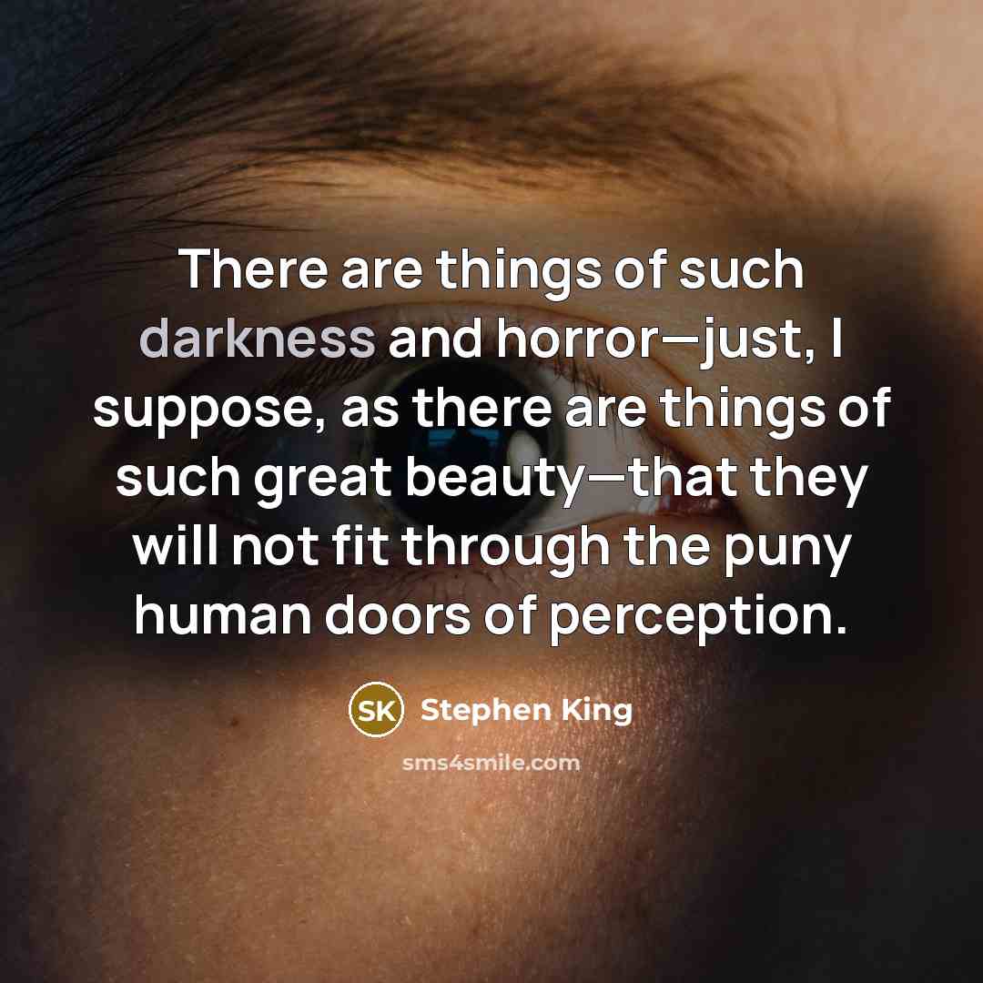 “There are things of such darkness and horror—just, I suppose,…” quote by Stephen King