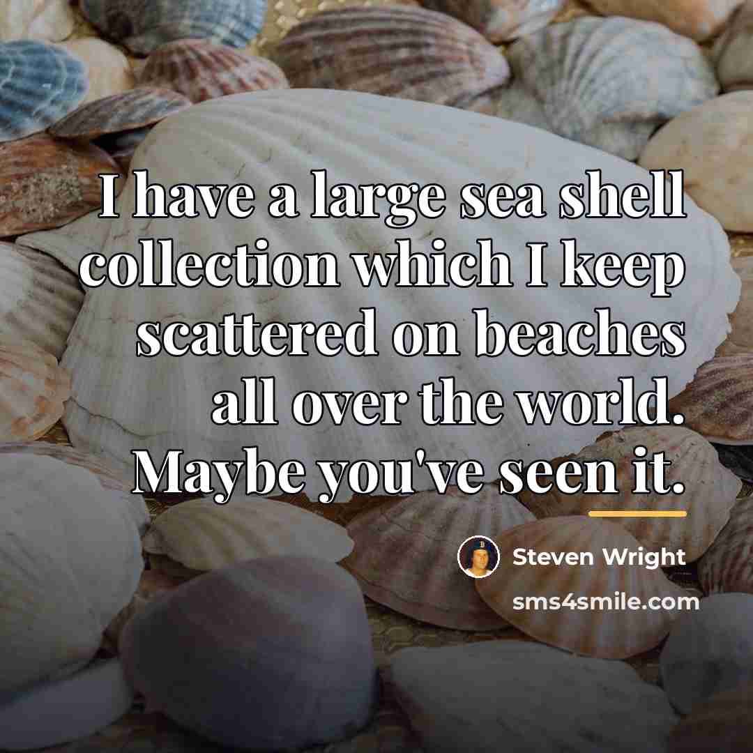 “I have a large sea shell collection which I keep…” quote by Steven Wright