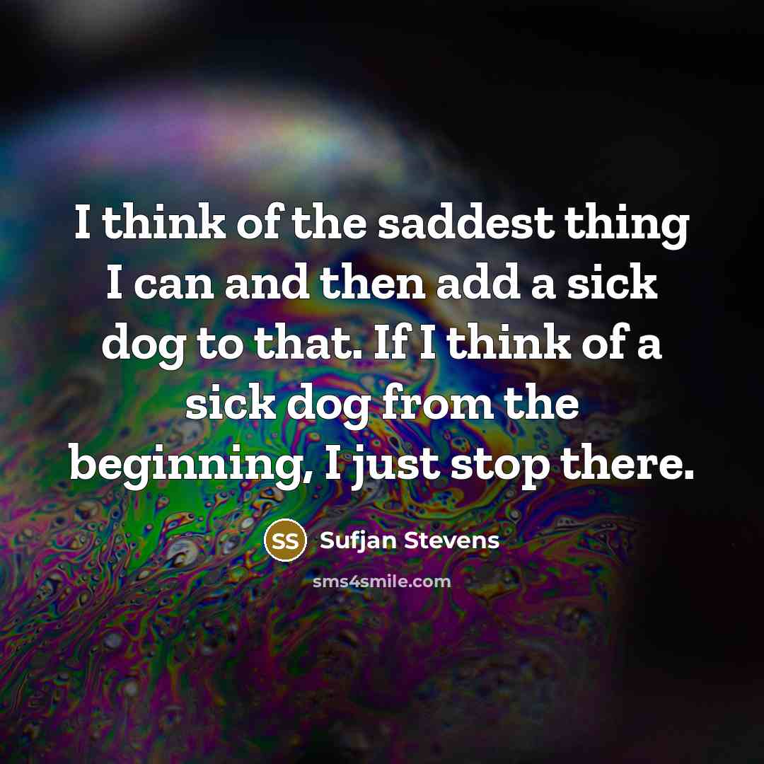 “I think of the saddest thing I can and then…” quote by Sufjan Stevens