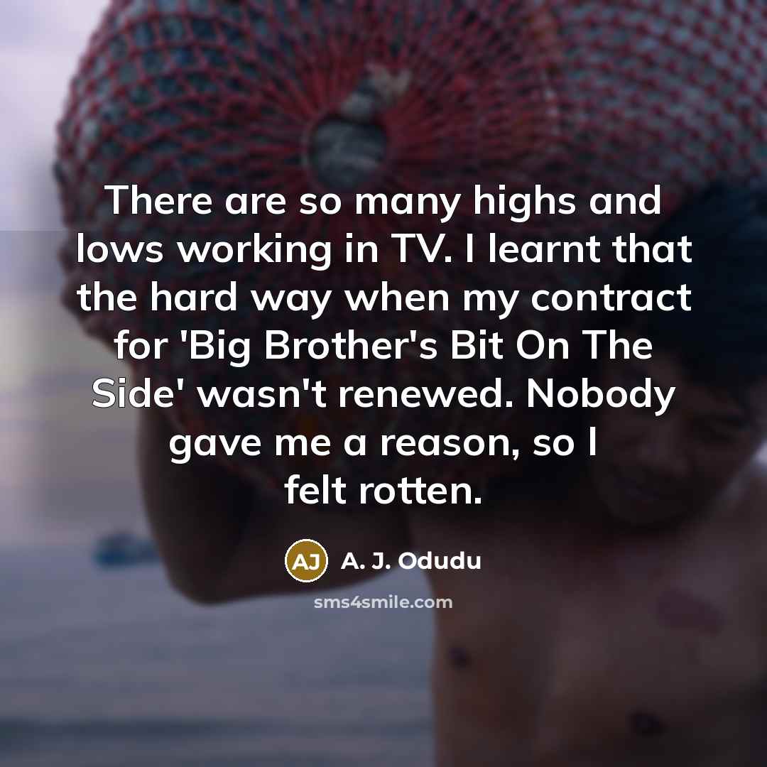 “There are so many highs and lows working in TV.…” quote by A. J. Odudu