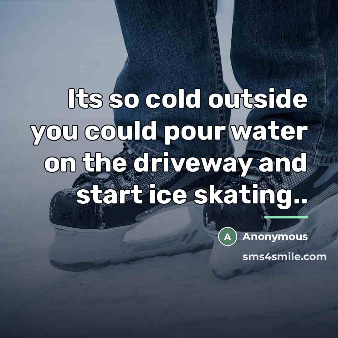 “Its so cold outside you could pour water on the…” quote by Anonymous