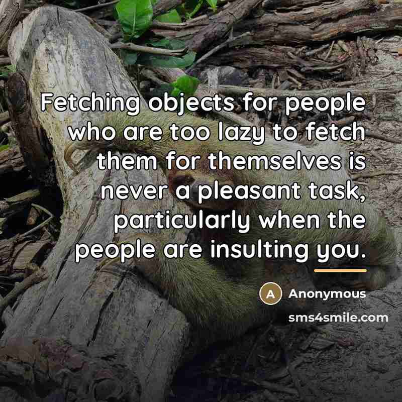“Fetching objects for people who are too lazy to fetch…” quote by Anonymous