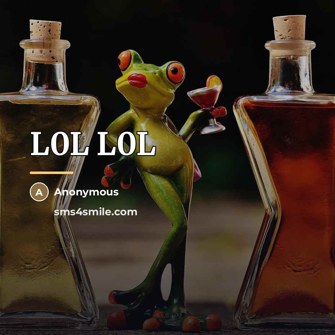 “L0L L0L…” quote by Anonymous